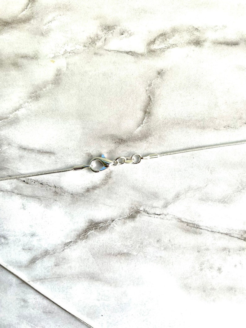 May include: A silver chain necklace with a lobster clasp closure.