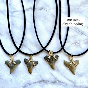 Shark Tooth Necklace • Shark Teeth • Surfer Necklace • Beach Jewelry