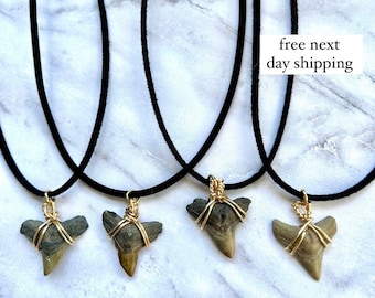 Shark Tooth Necklace • Shark Teeth • Surfer Necklace • Beach Jewelry