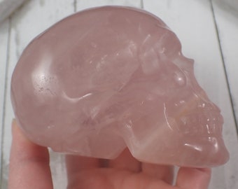Star Rose Quartz Flashy Crystal Skull Carving - Clear Pink Large Human Skull - 4 Inch Pink Rose Quartz - Crystal Carving Skull #SKULL#1051