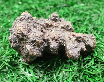 Organic Brown Prophecy Stone Natural Crystal - Rough Textured Specimen - Prophecy Crystal - 1.75 Inch Psychic Development Stone #RAWSM#1053