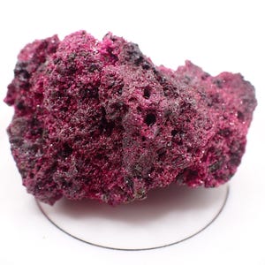 May include: A close-up of a rough, textured mineral specimen. The rock is a deep magenta color with areas of dark purple and black. The surface has many small holes and crystalline structures, set against a white background.