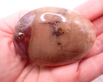 Natural Petrified Wood Palmstone - Small Chunky Crystal Palm - Smooth Polished Natural Texture - 2.5 Inch Red Beige Palmstone #PALMS#1261