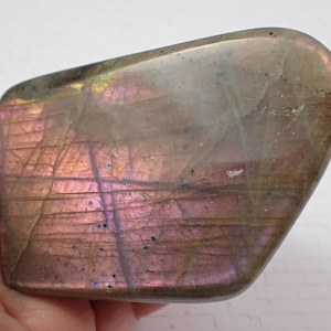 1 Piece Natural Labradorite Freeform Crystal - Strong Purple Flash - Large Thick Standing Freeform Crystal - Smooth Labradorite #FRFRM#1005
