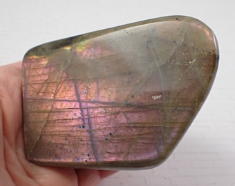 1 Piece Natural Labradorite Freeform Crystal - Strong Purple Flash - Large Thick Standing Freeform Crystal - Smooth Labradorite #FRFRM#1005