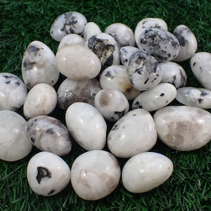 3 Pcs Natural Rainbow Moonstone Crystal Tumbles - Rounded Smooth Oval Tumbled Stones - Crystal Tumbles Some Blue Flash - White #TUMBL#1043