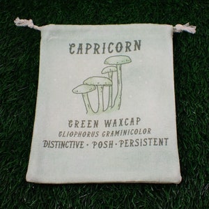 1 stuk Steenbok paddenstoel linnen stof tarotkaartzakje - groen wit Steenbok sterrenbeeld kristal tas - 6,75 x 5,5 inch paddotas #POUCH #1038