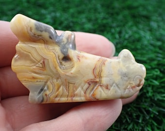 1 Piece Natural Crazy Lace Agate Crystal Dragon Skull  - Yellow Gray Orange Skull - Dragon Skull Small Natural Crystal Carving #ANMLS#1056