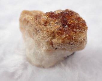Golden Citrine Cluster Raw Specimen Crystal - Small Raw Specimen - Golden Yellow Flat Bottom Cluster - 1.5 Inch Citrine Specimen #RAWSM#1092