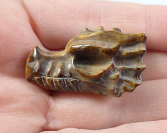 Mini Dragon Skull Crystal Carving - Natural Tiger Eye Jasper Dragon Skull  - Brown Gold Skull - 1.5 Inch Natural Crystal Carving #CRVNG#1969