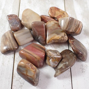 6 Pcs Natural Petrified Wood Crystal Tumbles - Thin Smaller Smooth Tumbled Stones - .75-1 Inch Brown Pink Gold Crystal Tumbles #TUMBL#1019