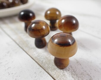 2 Pcs Natural Tiger Eye Jasper Crystal Mushroom Carving - Brown Gold 1 Inch Mushroom - Smooth Mini Crystal - Natural Standing #MINIS#1117