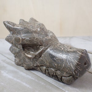 Large Shell Composite Carved Dragon Skull  - Brown Beige Skull - Smooth Finish 4.75 Inch Dragon Skull - Shell Dragon Skull #SKULL#1008