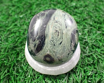 1 Piece Natural Kambaba Jasper Crystal Palm Stone - Shiny Dark Green Black Gallet Stone - Small Thick Smooth Polished Kambaba #PALMS#1162