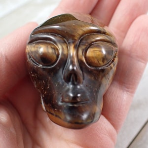 Awesome Natural Tiger Eye Alien Skull Carving - Brown Gold Banded Crystal Carving - 2 Inch Golden Tiger Eye Crystal Alien Skull #SKULL#1035