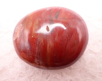 Natural Petrified Wood Palmstone - Small Thick Chunky Petrified Wood - Smooth Polished Natural Texture - Red Beige Palmstone #PALMS#1265