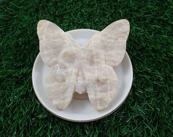 Large Natural Blue Silver Flash Moonstone Butterfly - Skull in Butterfly Carving - 3.5 Inch Thick White Crystal Moonstone Skull #ANMLS#1026