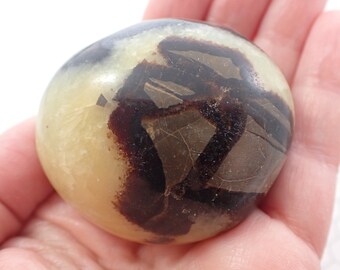 1 Piece Natural Septarian Palm Stone - Smooth Gallet Stone - Medium Yellow Gray Brown Palmstone Crystal - Smooth Septarian Palm #PALMS#1095