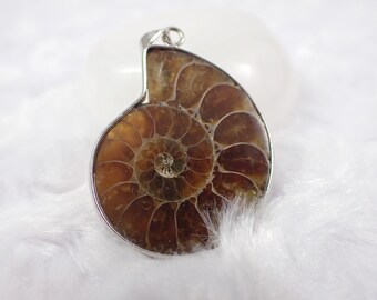 1 Piece Natural Ammonite Fossil Pendant - Round Silver Wrapped Fossil - Brown Orange Aura - 1.25 Inch Ammonite Wrapped Pendant #PNDNT#1101