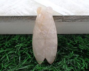 Blue Flash Moonstone Crystal Cicada Carving - Textured Blue Flash Moonstone - Cicada Insect Carving - 2 Inch Natural Crystal - #ANMLS#1220