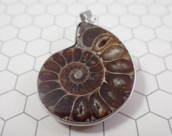 1 Piece Natural Ammonite Fossil Pendant - Spiral Shaped .925 Silver Wrapped Fossil - Natural Back Side - Smooth Finish Fossil #PNDNT#1004
