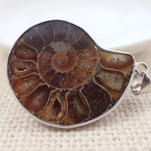 1 Piece Natural Ammonite Fossil Pendant - Round .925 Silver Wrapped Fossil - Brown Orange Beige - Ammonite Wrapped Pendant #PNDNT#1006