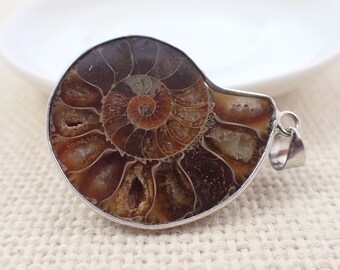 1 Piece Natural Ammonite Fossil Pendant - Round .925 Silver Wrapped Fossil - Brown Orange Beige - Ammonite Wrapped Pendant #PNDNT#1006