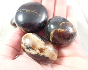 Gorgeous Indonesian Amber Tumbles - Large Rounded Smooth Stones - 1-1.75 Inch Part Translucent Amber - Brown Beige Tumbled Stone #TUMBL#1016