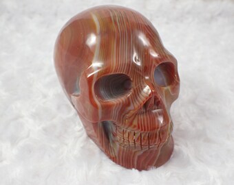 Large Red-Orange Sardonyx Crystal Skull Carving - Burnt Orange White Banded Large Human Skull - 4.25 Inch Heavy Crystal Skull #SKULL#1011