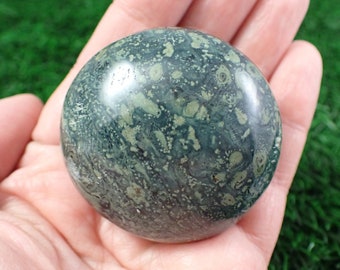 1 Piece Natural Kambaba Jasper Crystal Palm Stone - Shiny Dark Green Black Gallet Stone - Small Thick Smooth Polished Kambaba #PALMS#1105