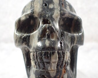 Natural Ocean Jasper Crystal Skull Carving - Green Black Gray Striped Human Skull - 4 Inch Ocean Jasper Crystal Carving Skull #SKULL#1019