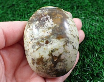 Green Opal Palm Stone Crystal - Natural Medium Smooth Gallet Stone - 2.5 Inch Green White Brown - Smooth Palmstone Green Opal #PALMS#1169