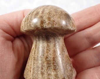 Smooth Chocolate Calcite Crystal Mushroom Carving - Brown Beige Banded Standing Crystal - Natural Chocolate Crystal 2 Inch Shroom MUSHY#1031