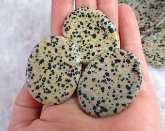 Pretty Natural Dalmatian Jasper Crystal Worry Stone - Smooth Polished Oval - 1.75 Inch Beige Brown Black - Dalmatian Worry Stone #WORRY#1031