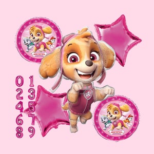 Paw Patrol Skye Balloon Bouquet – Girl Birthday Party Decorations