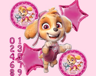 Paw Patrol Skye Balloon Bouquet – Girl Birthday Party Decorations