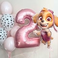 Skye Paw Patrol girl Balloons | Girls Birthday Party Decorations