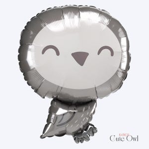 Wizard Foil Balloon: Licensed Harry Potter Party Decor 19" Cute Owl