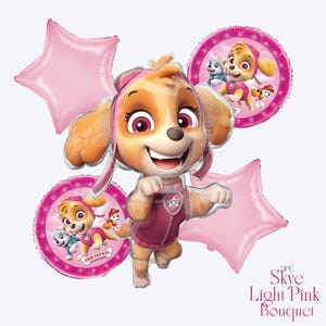 Paw Patrol Skye Balloon Bouquet – Girl Birthday Party Decorations