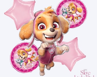 Paw Patrol Skye Balloon Bouquet – Girl Birthday Party Decorations