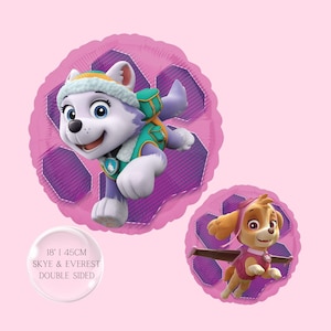 Skye Paw Patrol Birthday Party Supplies: Banner, Balloons & Decorations
