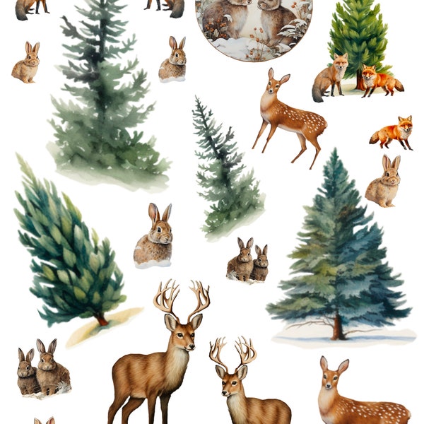 Winter Woodland Trees and Animals Rub On Transfers