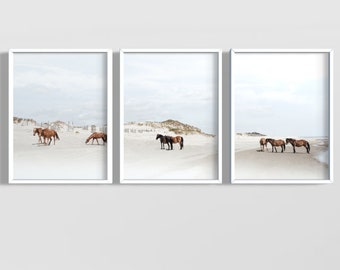 Wild Horses of Corolla Beach-poster: ingelijste kustafdruk