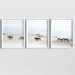 Wilde Pferde Küsten Outer Banks Corolla Beach Poster - Geschenk für Pferdeliebhaber - Geschenk für Pferdeliebhaber