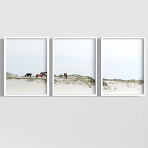 Wild Horses Outer Banks Coastal Corolla Beach Poster Print or Framed Photography Mixed Media Art Print Domenica Rossi 1 or 3 piece triptych