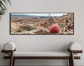 Canvas Desert Pink Cacti in Joshua Tree Floating Frame Print photography art by Domenica Rossi