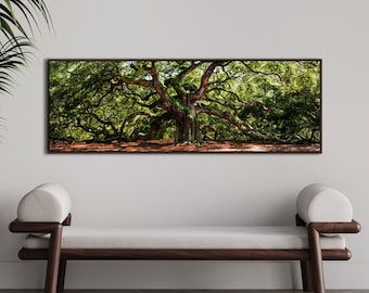 Angel Oak Tree Floating Framed Panoramic Canvas photography art print Domenica Rossi
