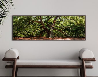 Angel Oak Tree Drijvend ingelijst panoramisch canvas fotografiekunstdruk Domenica Rossi