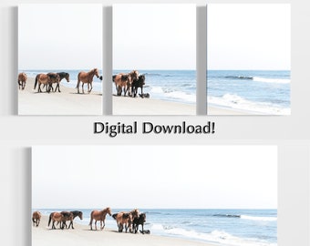 Wild Horses of Outer Banks Photography Art Print (Digital Download)