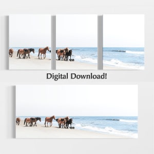 Digital Wild Horses of Coastal Outer Banks Corolla Beach photography mixed media art print Domenica Rossi 3 piece triptych or 1 piece